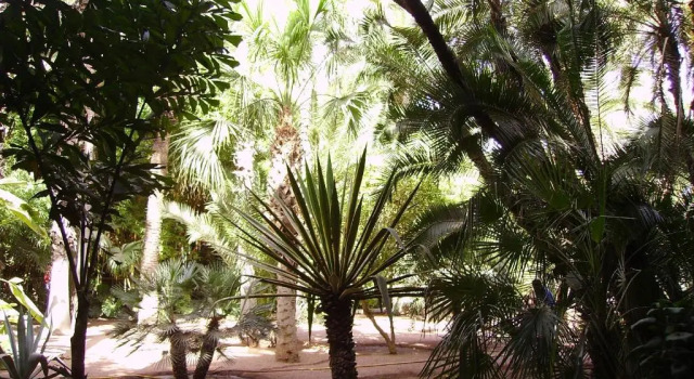 Апартаменты Appart avec vue Jardin-Majorelle