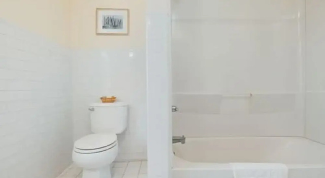 Семейный номер Standard Цокольный этаж Shawmont Hotel