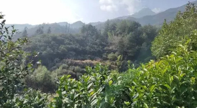 Yunjin Mountain Villa · Cloud Sky Retreat, Prenota Villa Hotel a Anhui con parcheggio, Parcheggio