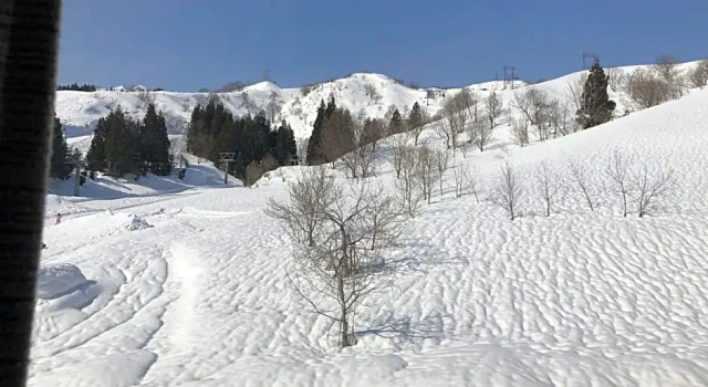 Двухместный номер Superior Muica Onsen Hotel