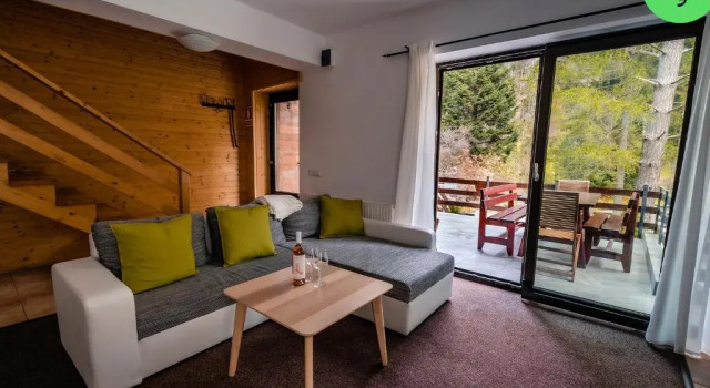Апартаменты Panoramic Apartments - MontePalazzo Sinaia