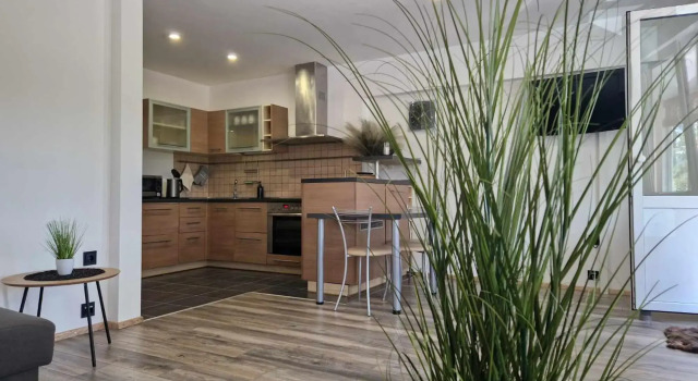 Duplex Apartment Vilte near Egle, Book Lejlighed Druskininkai 