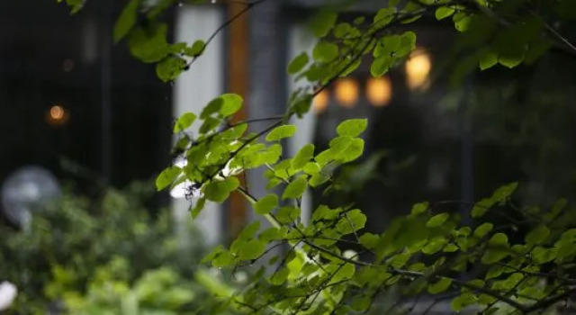 Wuxi Dayin Mountain Residence Garden Homestay, Prenota Hotel Wuxi Jiangsu