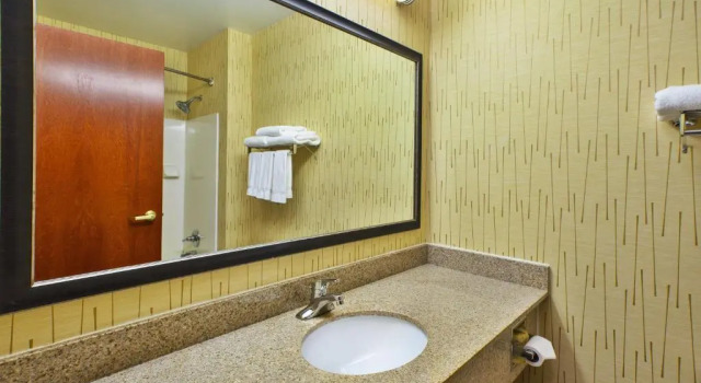 Люкс Holiday Inn Express Hotel & Suites - Belleville Area by IHG