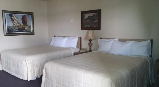 Шестиместный номер Standard Bayside Motor Inn