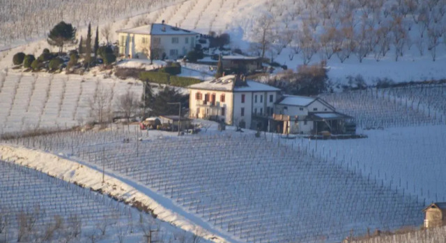 Agriturismo Mondoarancio