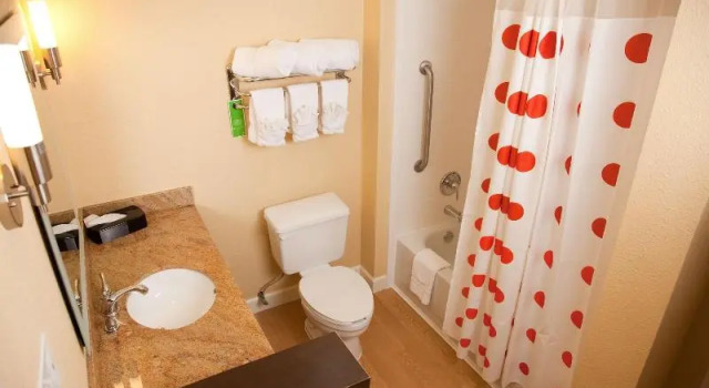 Двухместный люкс TownePlace Suites by Marriott Lake Jackson Clute