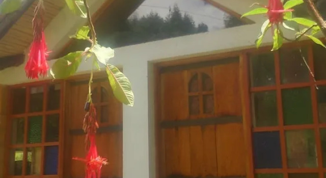The Lost Leprechaun Ecohostel, Reserva ahora Hotel El Purgatorio Colombia