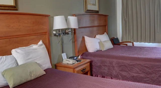 Номер Superior The Palms Motel