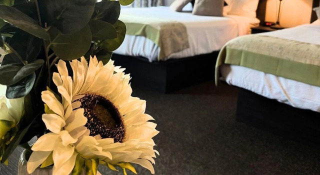 Четырёхместный номер Standard Brinton Suites