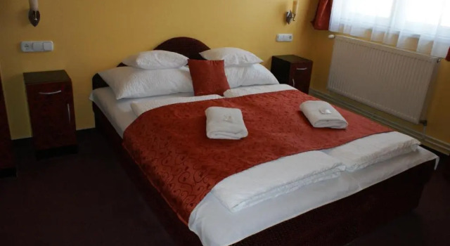 Двухместный номер Standard Hotel Palota City