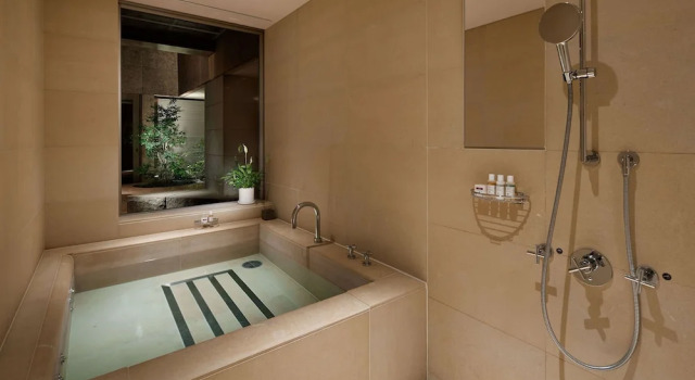 Люкс Ambassador Grand Hyatt Tokyo