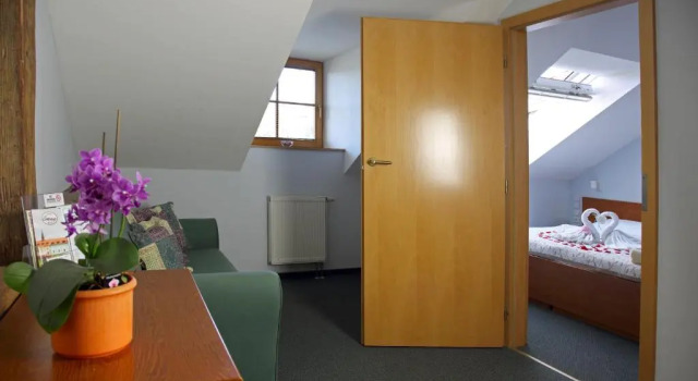 Standard Suite Hotel Čertousy