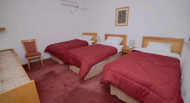 Petra Lion Hotel