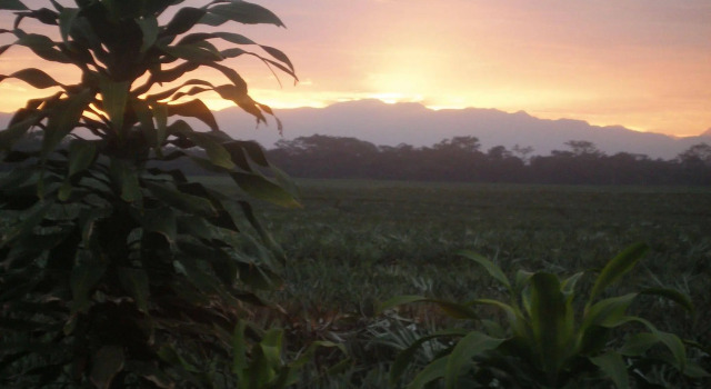 Posada Turismo Rural San Juan, Varaa Hotelli Aguas Zarcas Alajuela