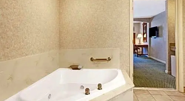 Люкс Hotel Aluxor SFO, Shuttle Service