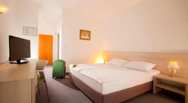 Двухместный номер Comfort с балконом и с видом на парк Hotel Vesna
