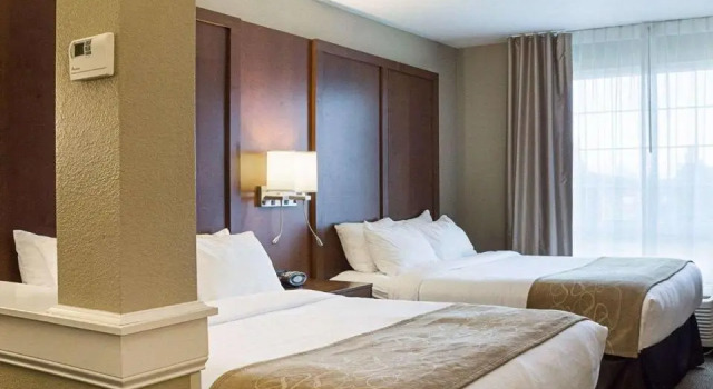 Номер Standard Comfort Suites Minot South
