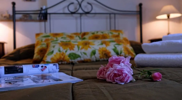Апартаменты c 1 комнатой с видом на окрестности San Lorenzo Agriturismo