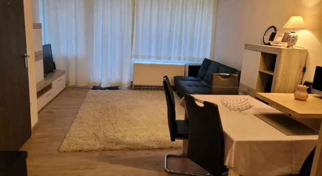 Апартаменты Ryan Apartament mit Netflix