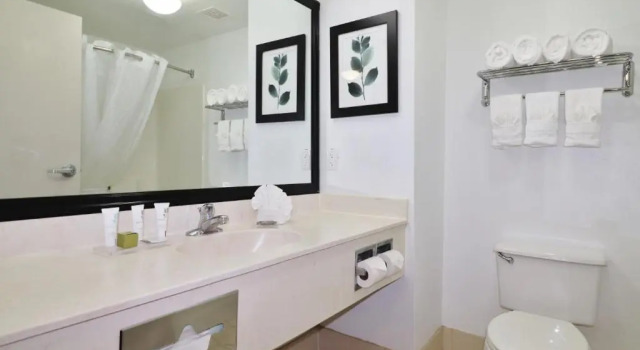 Люкс Country Inn & Suites by Radisson, Jacksonville - Orange Park