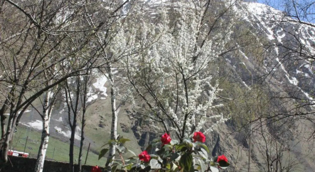 GIO-NIKA, Rezerwuj Hotel Hotele w Mtkheta-Mtianeti z basenem, Basen