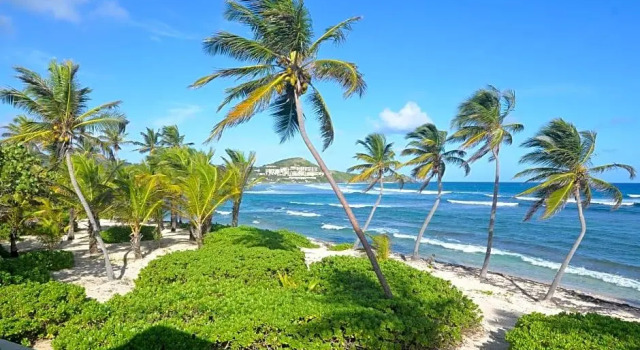 Четырёхместный номер Standard рядом с пляжем Palms Resort and Beach