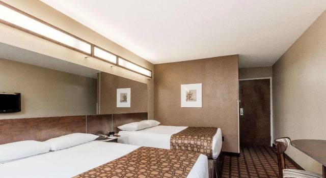 Четырёхместный номер Standard Microtel Inn & Suites by Wyndham Macon