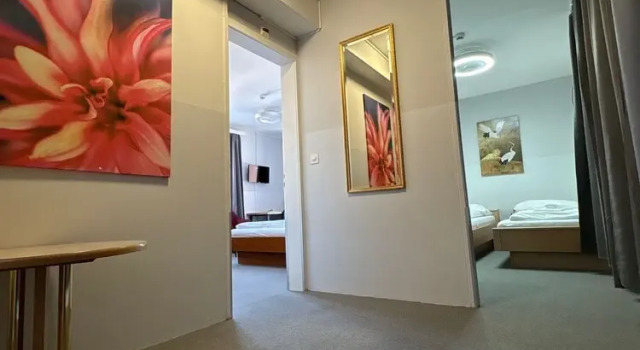 Четырёхместный номер Standard с балконом Hotel Rheinfall
