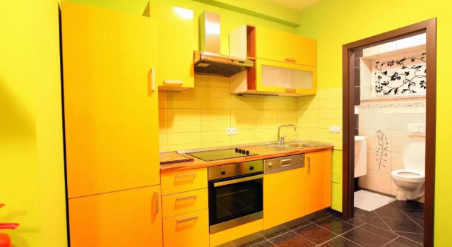 Апартаменты c 1 комнатой Apartments Pri Adamsovih