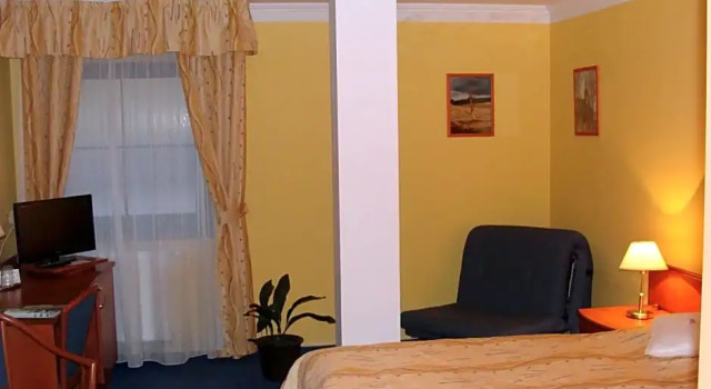 Номер Business Wellness Hotel Anna Nejdek