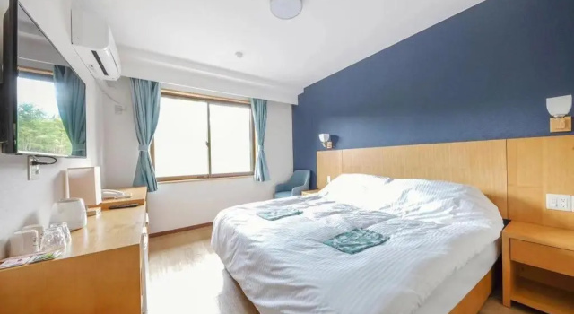 Двухместный номер Standard Fujinomori Hotel