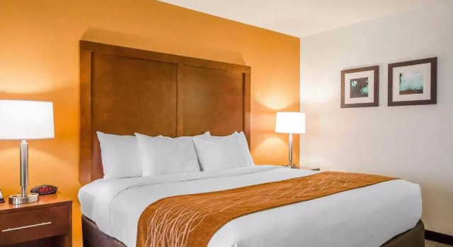 Номер Standard Comfort Inn Ferdinand