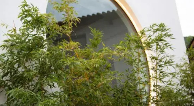 Yueshan Xin‘anchu Guesthouse, Prenota Hotel Hotel a Dali con parcheggio, Parcheggio