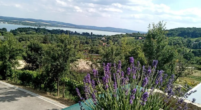 Ferenc Vendégház, Rezervovat Hostel Tihany 