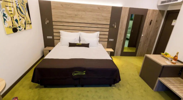 Двухместный номер Superior Hotel Castellum