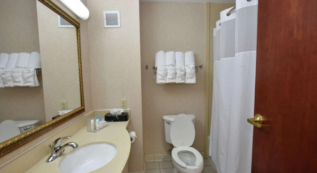 Standard Vierer Zimmer Hampton Inn Selma