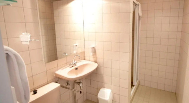 Номер Deluxe Fletcher Hotel-Restaurant Veldenbos