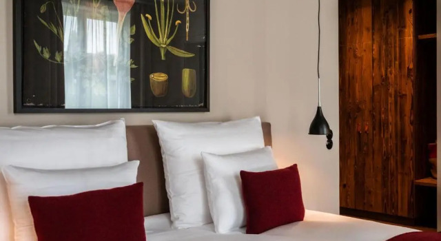 Номер Deluxe Alpenloge Design Hotel