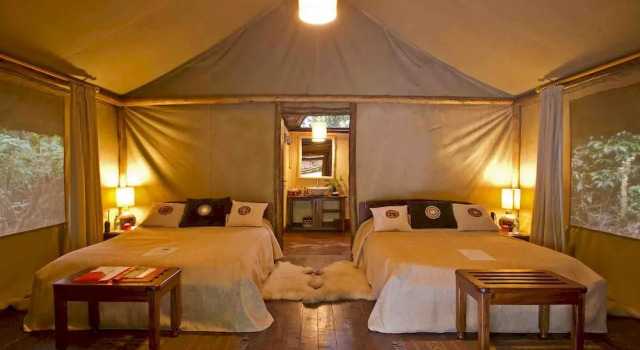 Sanctuary Gorilla Forest Camp, Réserver Hôtel Western Uganda National Parks Western Uganda