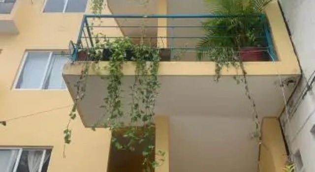 Bonobo Surf House, Book Hotel Puerto Escondido Oaxaca