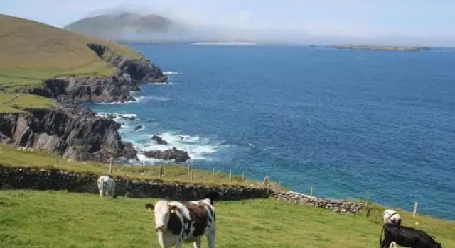 Dingle Courtyard Cottages 4 Bed Sleeps 8, Забронировать Отель Отели Dingle Peninsula с парковкой, Парковка