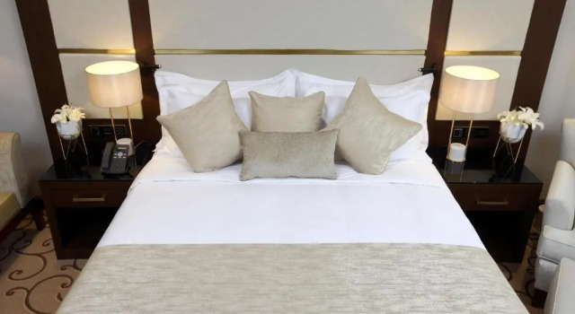 Двухместный номер Standard Vittori Palace Hotel and Residences