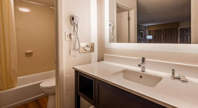 Номер Standard Best Western Central Inn