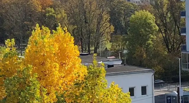 Апартаменты c 1 комнатой с балконом и с видом на сад Altstadthaus Cityappartements