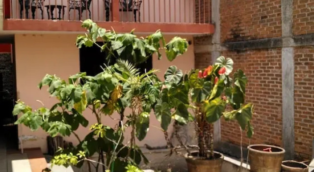 Posada De Santa Rosa Bed and Breakfast, Book Hotel Orizaba Veracruz