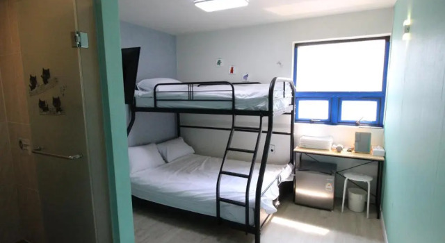 Номер Economy Hotel Ivory