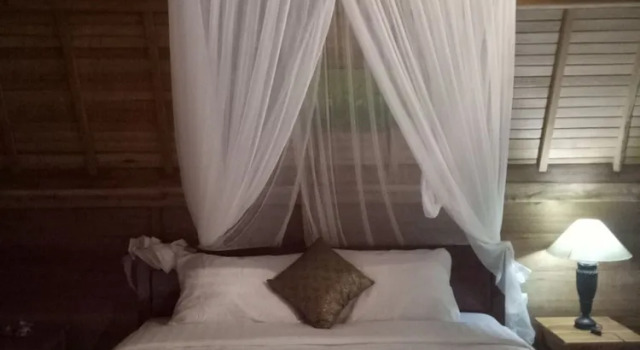 Halumba Eco Villa, Rezerwuj Willa Hotele SPA w Tejakula, SPA