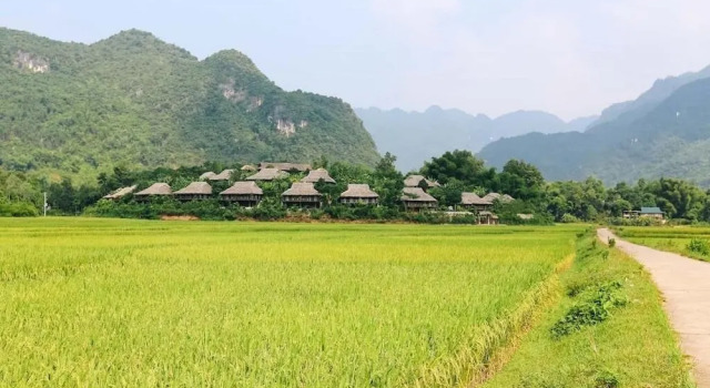 Zostay Homestay - Adults Only