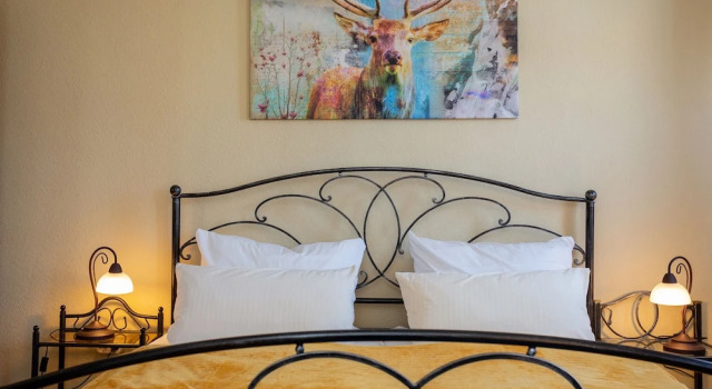 Двухместный номер Standard с видом на парк Klosterhotel Walkenried